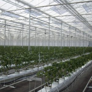 interior greenhouse