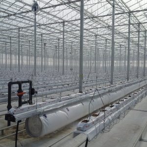 green house irrigation