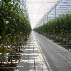installed horticulture lamps