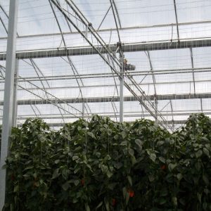 greenhouse electric wiring
