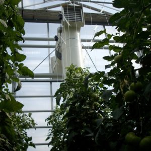 greenhouse vents