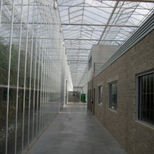greenhouse hallway